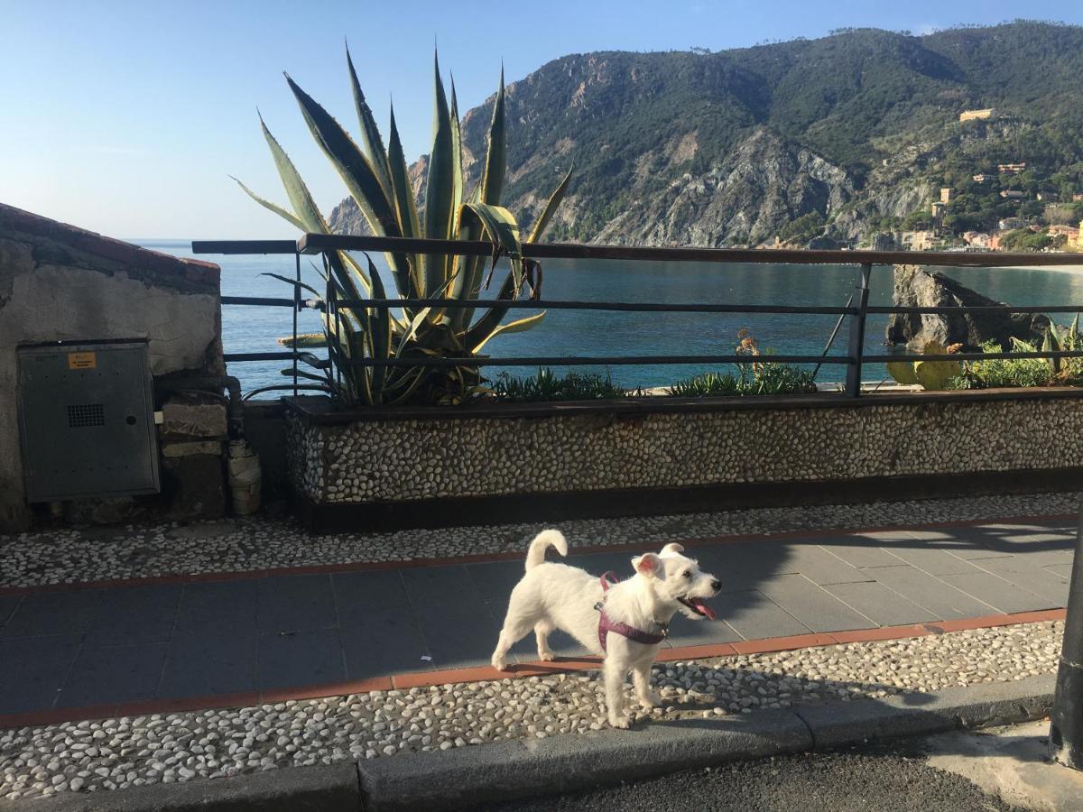 Le Cinque Vele ***** Cinque Terre Apartment Monterosso al Mare Exterior photo